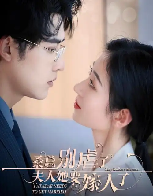 群山之上全集手机免费在线观看